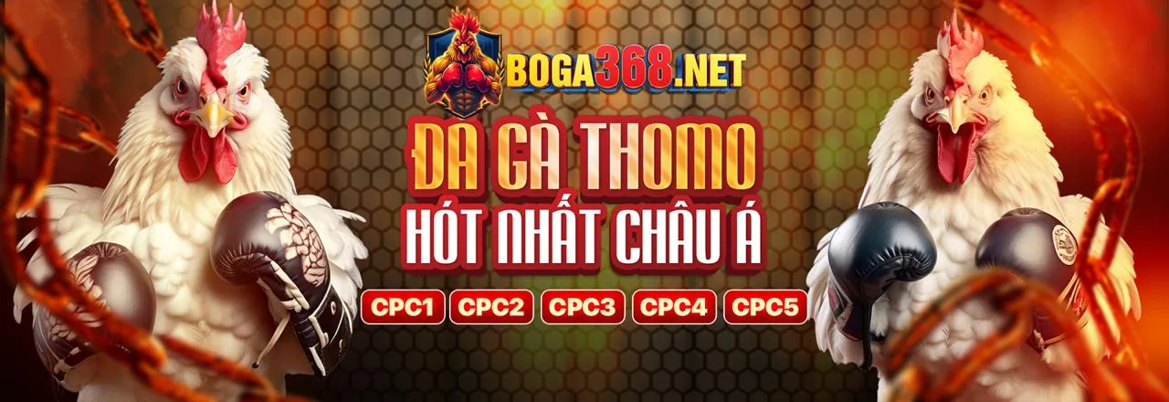 Khu Vực VIP W88 Web độc quyền với các đặc quyền và ưu đãi