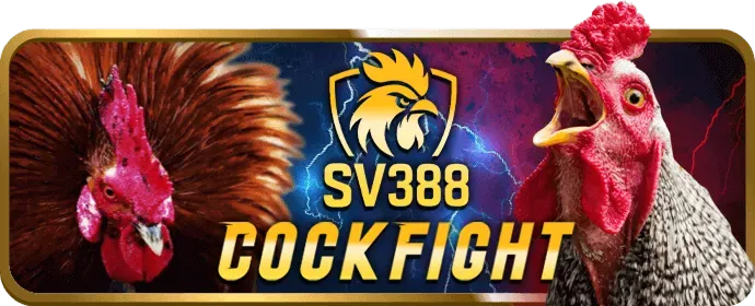 Ưu đãi tiền thưởng hàng đầu cho VIP W88 Web